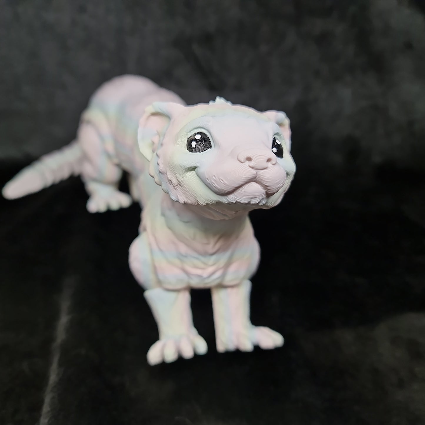 Ferret