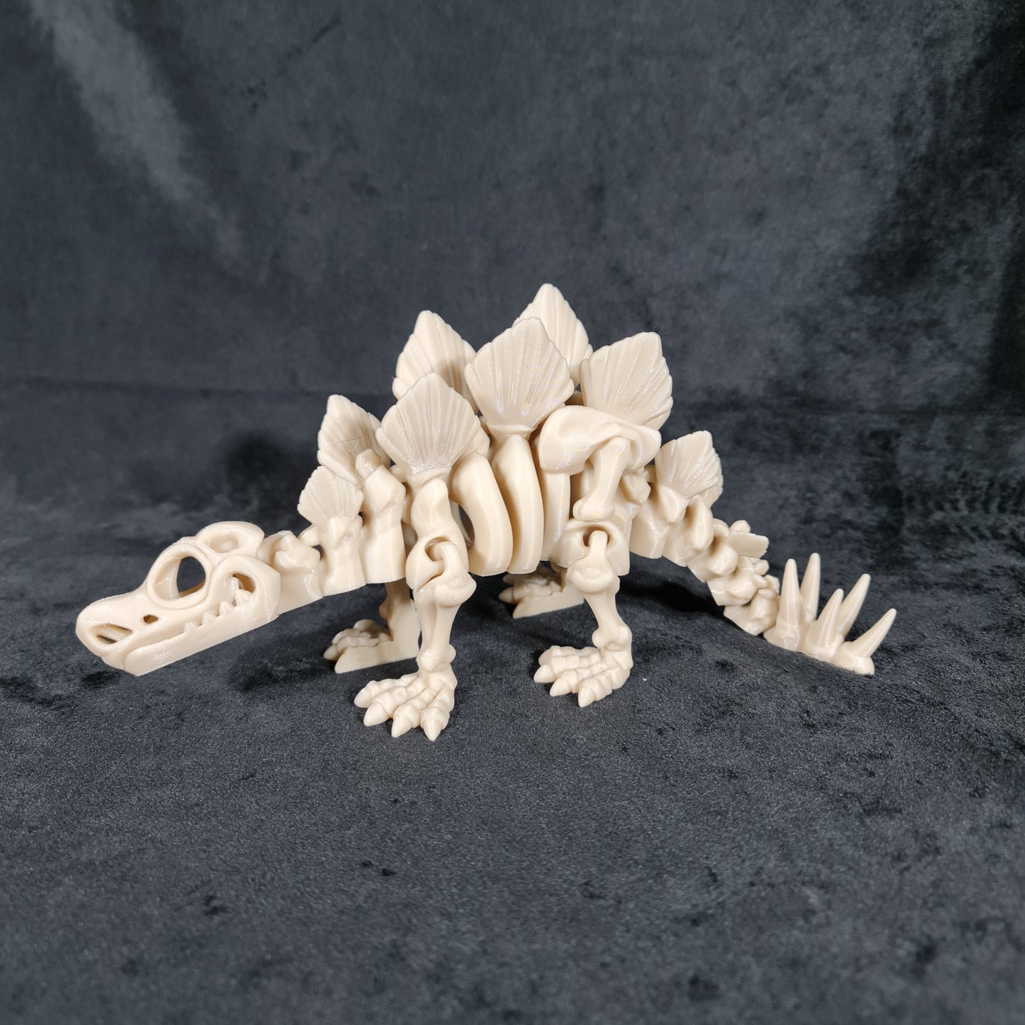 Skeleton Stegosaurus