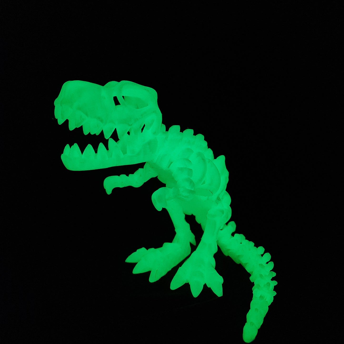 Skeleton T-Rex