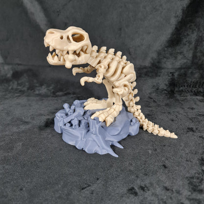 Skeleton T-Rex