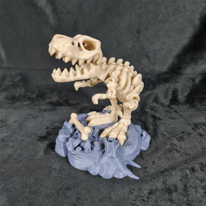 Skeleton T-Rex