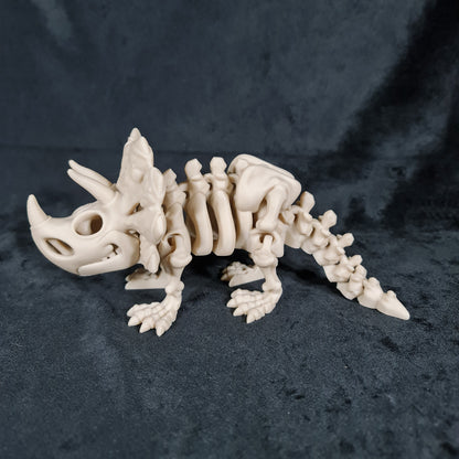 Skeleton Triceratops