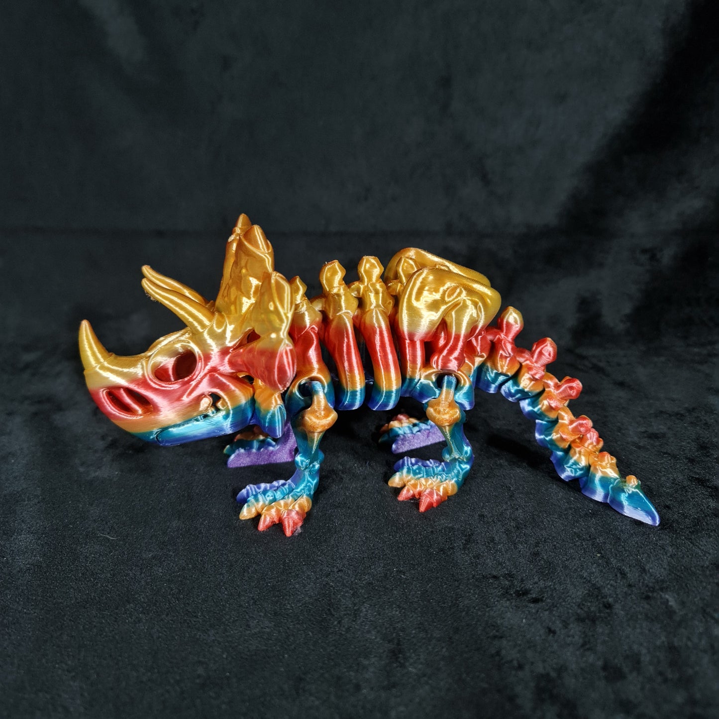 Skeleton Triceratops