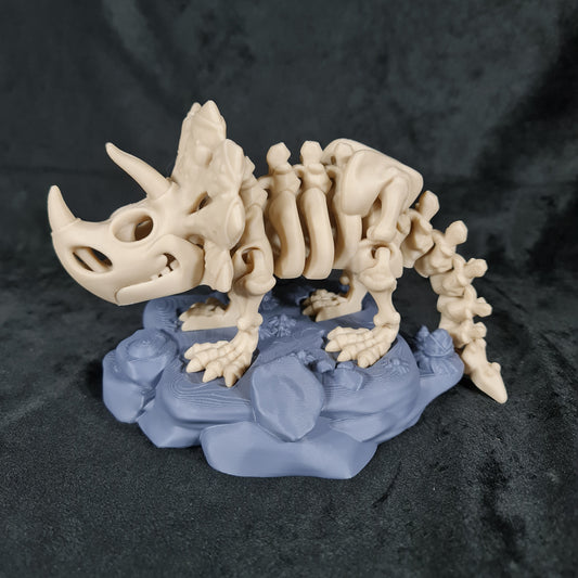 Skeleton Triceratops