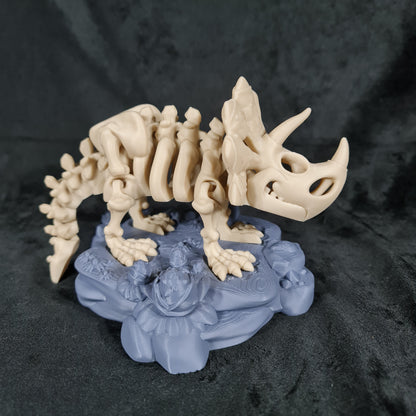 Skeleton Triceratops