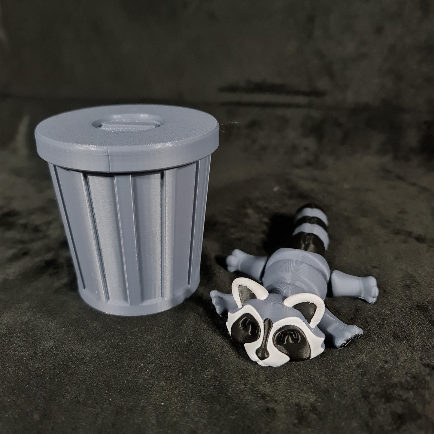 Trash Panda (Racoon)