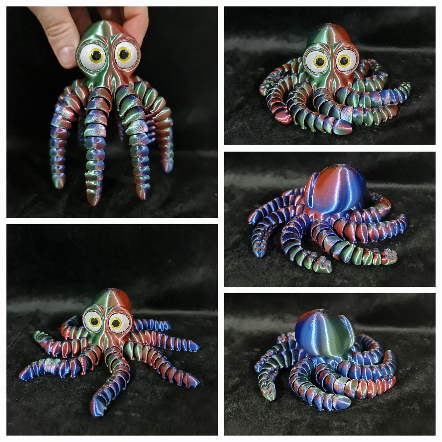 Cute Octopus