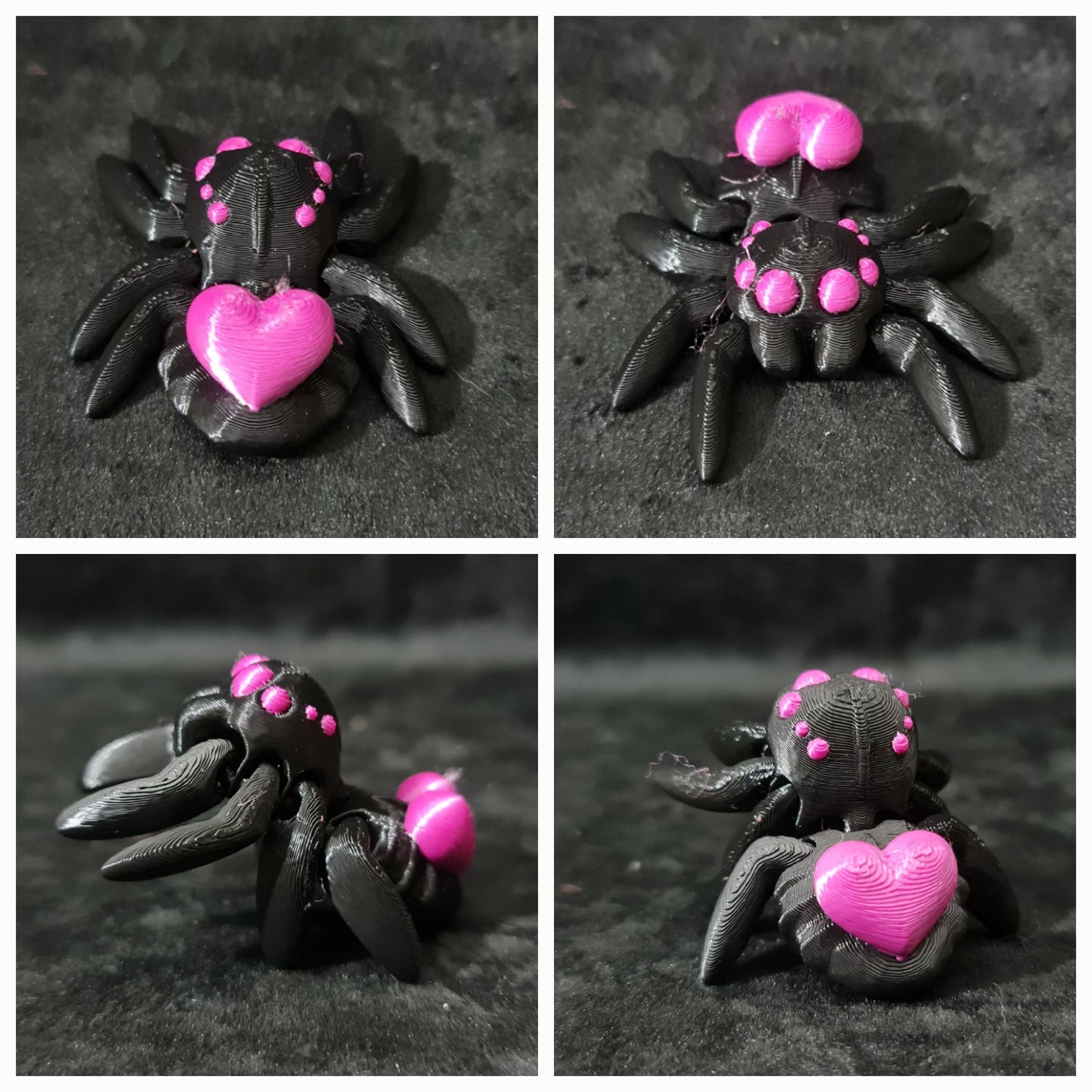 Tiny Heart Spider