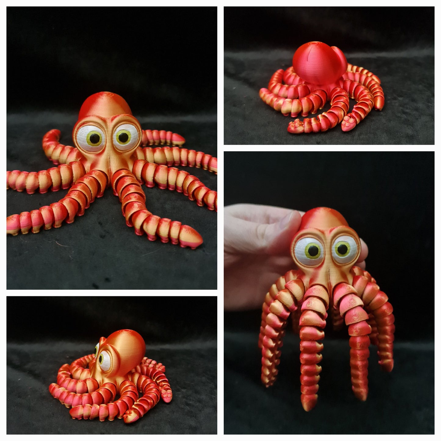 Cute Octopus