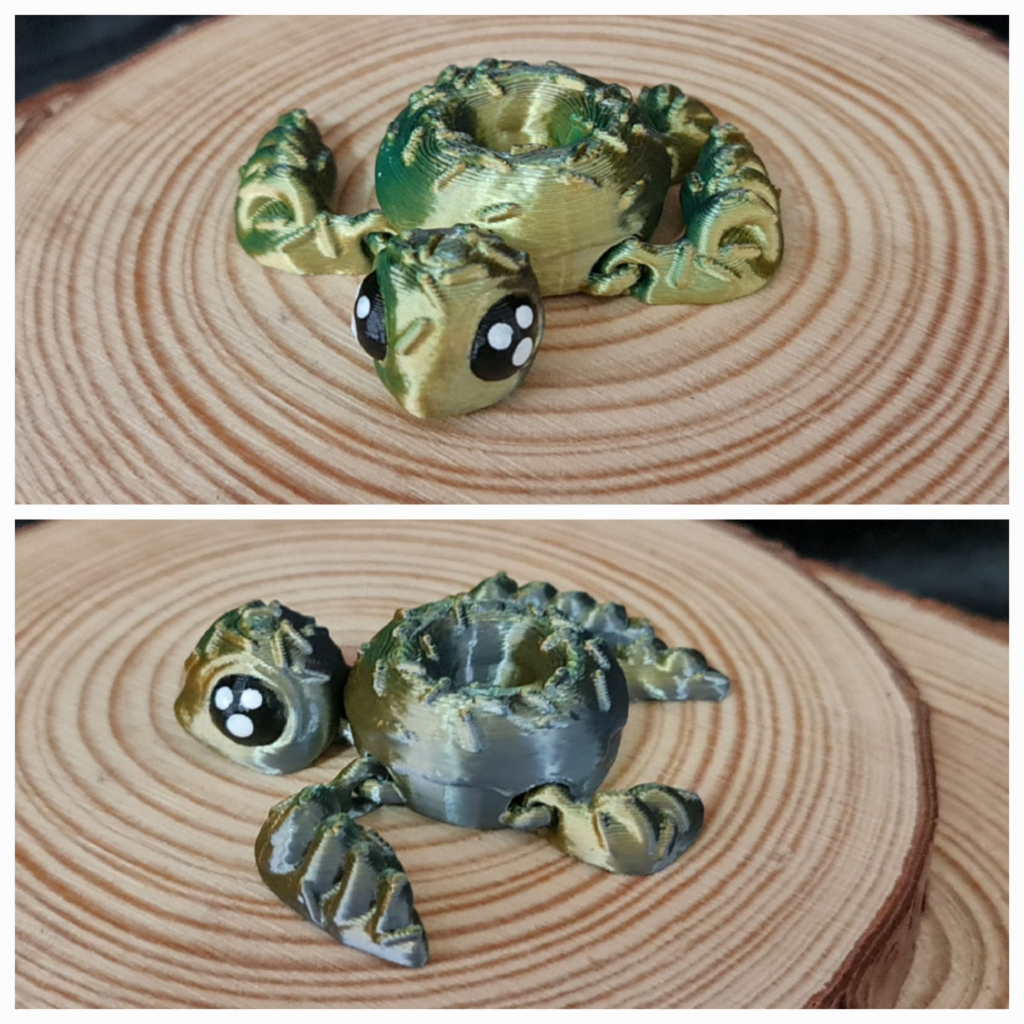 Donut Turtle