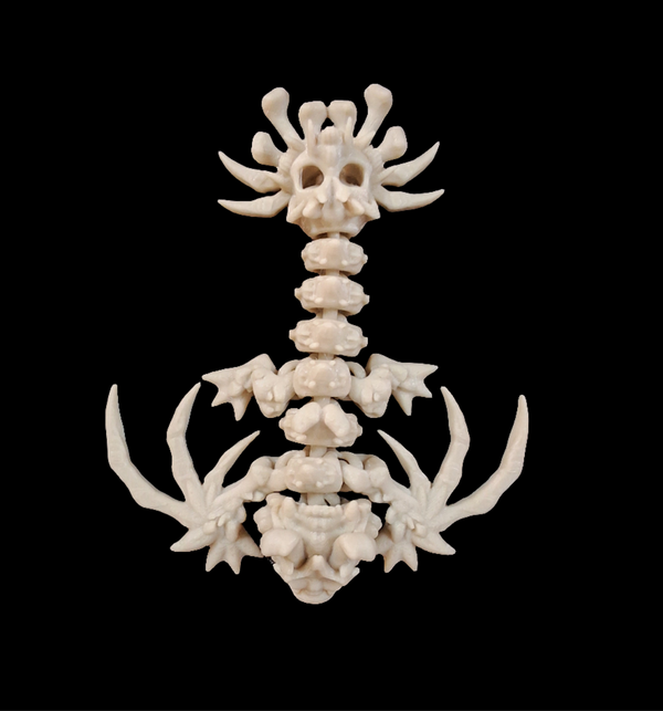 Skeleton Wyvern