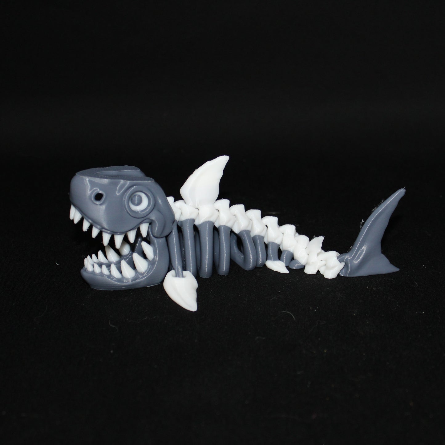 Skeleton Shark