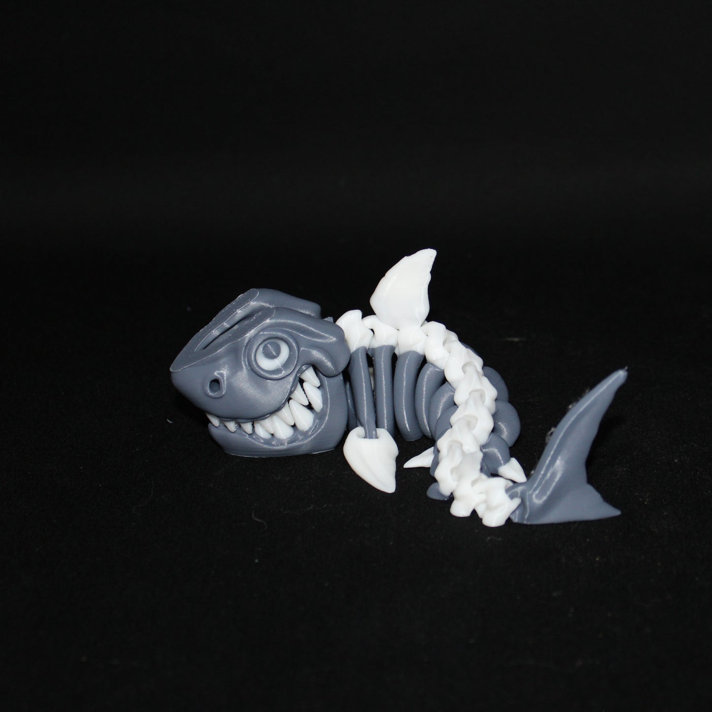 Skeleton Shark