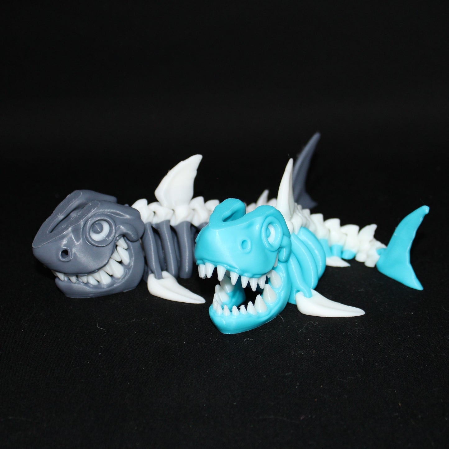 Skeleton Shark