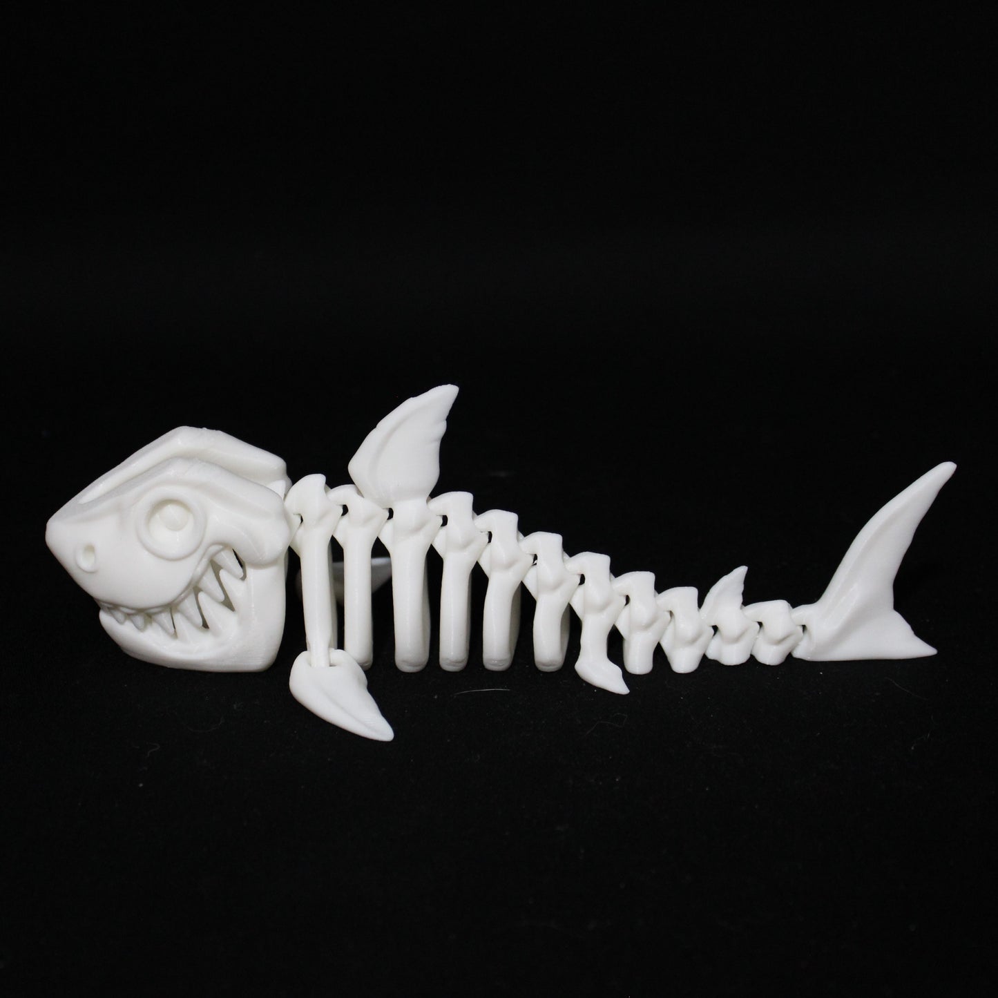 Skeleton Shark