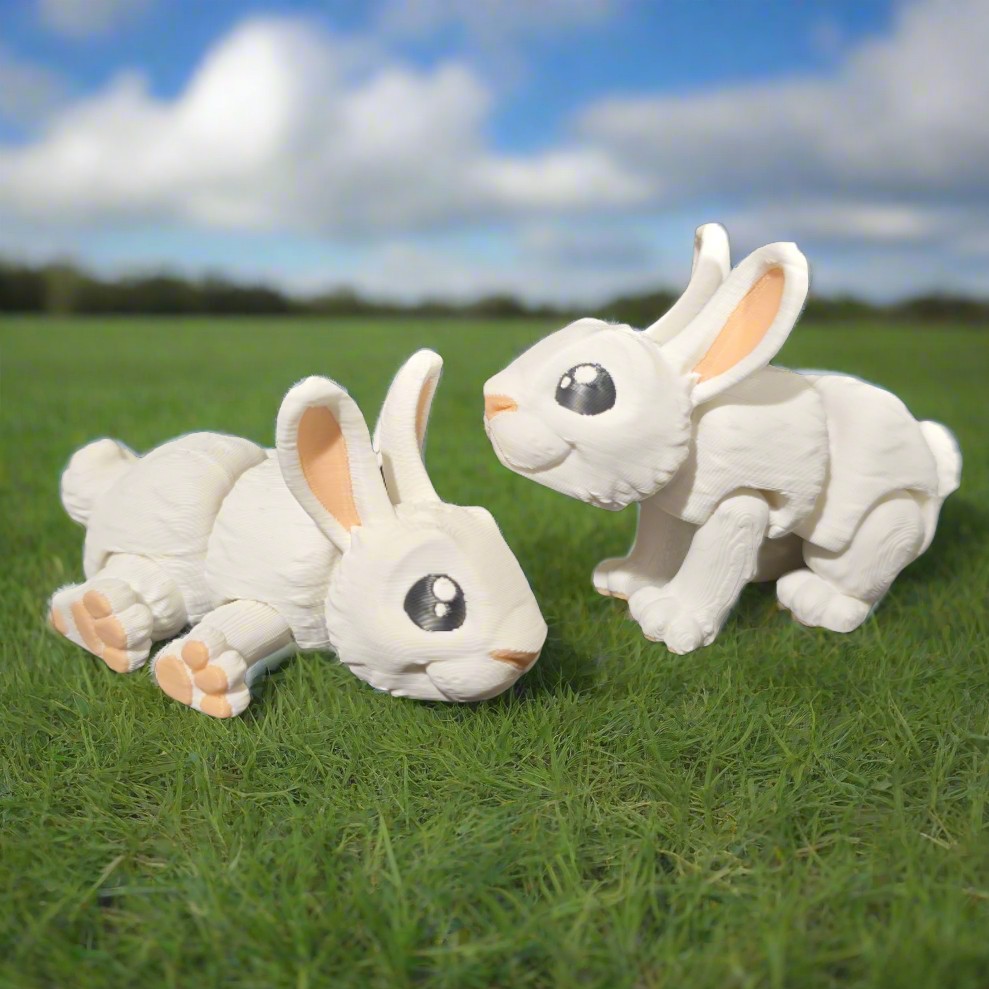 Bunny Rabbit