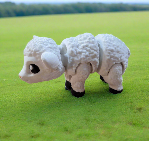 Sheep