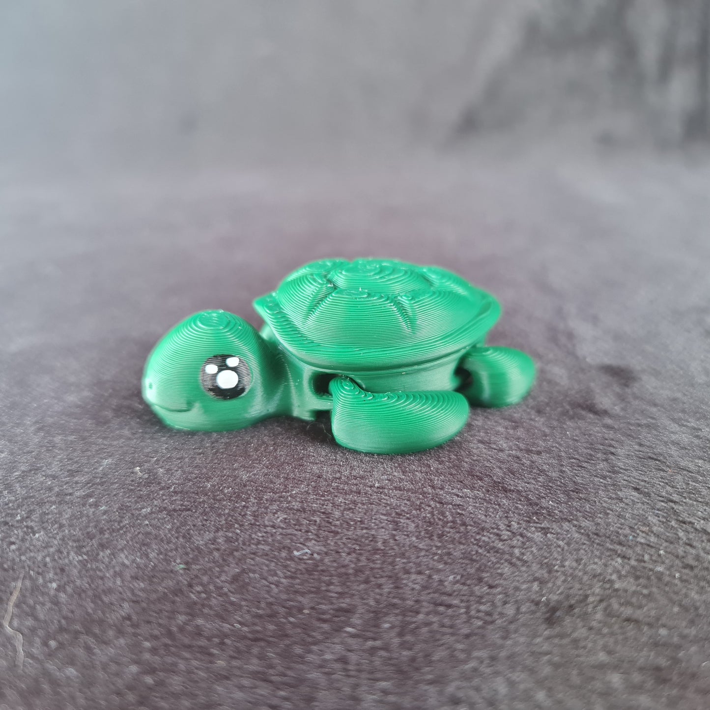 Tiny Turtle