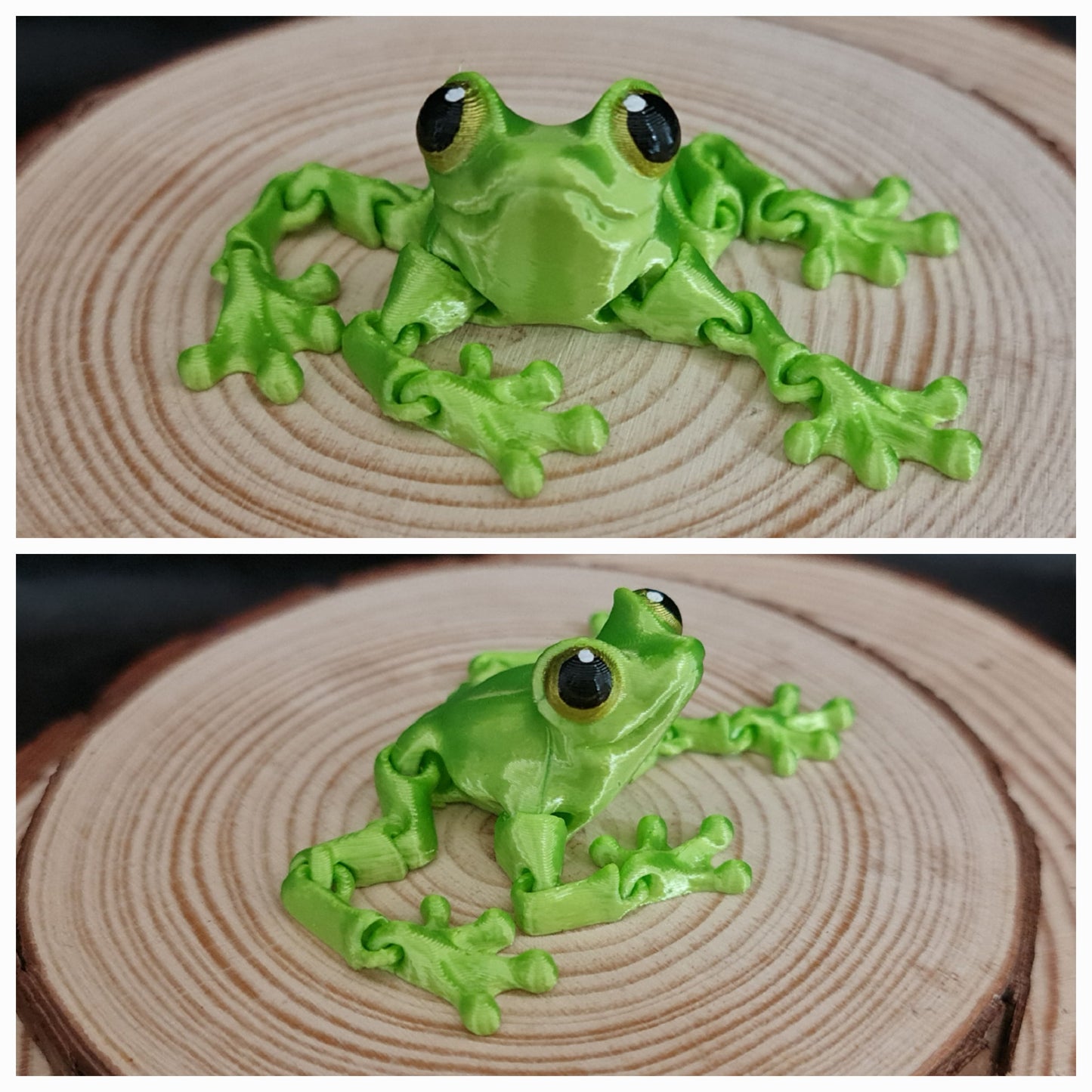 Cute Frog