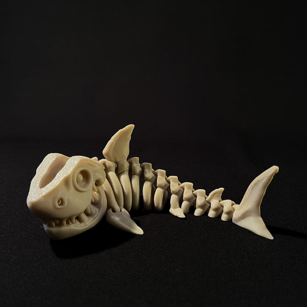 Skeleton Shark